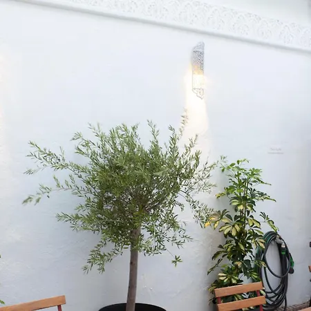 Altabib Hotel typu riad *